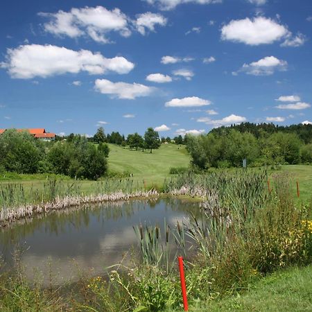 Anetseder Landhotel & Lofts Thyrnau Luaran gambar