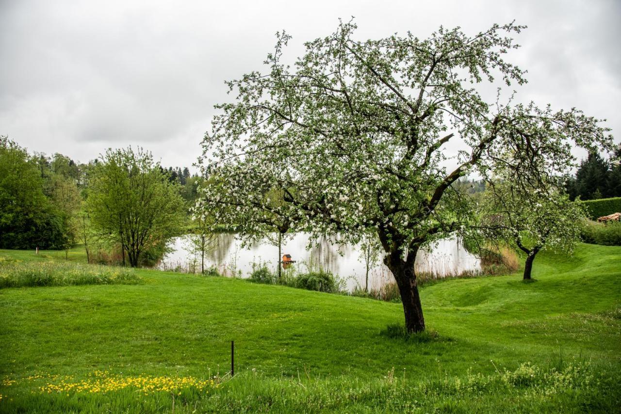 Anetseder Landhotel & Lofts Thyrnau Luaran gambar