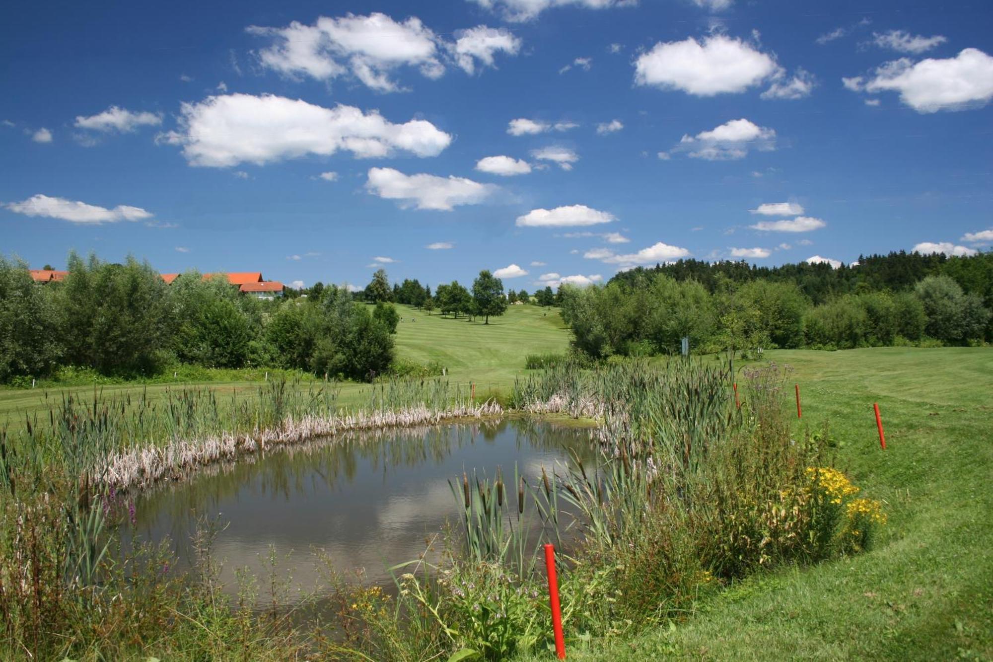 Anetseder Landhotel & Lofts Thyrnau Luaran gambar